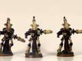 Eldar Wraithguard