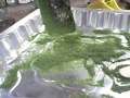 Making Miniature Rock Wall Part 4B 
