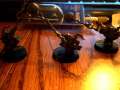 Night Goblin Fanatics