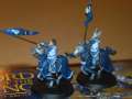 Knights of Dol Amroth