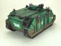 Salamander Rhinos