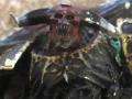 Relic:  To Field a Daemon Prince