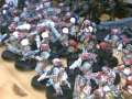Some of my Imperial Guard