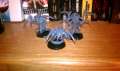 Tyranid Ravaners