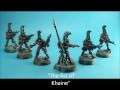 Eldar Fire Dragons