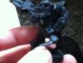How to paint an Ork boyy