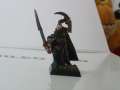 Dark elves Shadowblade