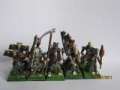 Empire flagellants warband