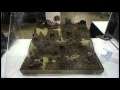 Games Day 2011: Army on Parade