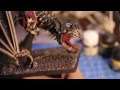 How to Paint Terrorgheist | Vampire Counts | Warhammer Fantasy