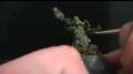 Painting tutorial: how to paint white cloth ( linen )