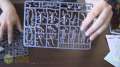 Unboxing Necrons:  Warriors, Immortals, and Deathmarks