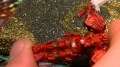 Painting Sanguinor - Lava armor part 2