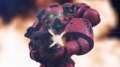 40k Stop Motion Movie: Save the Captain 
