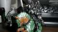 Converted Green Knight