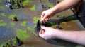 Epic: Armageddon battle report LatD vs Dark Eldar (part2)