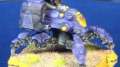Master Class Painting: Kameel Remote Part 1