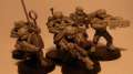 Imperial Guard Veteran WIP