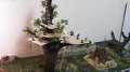 Elven Tree Fortress
