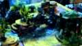 Dark Angels vs Necrons Batrep
