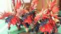 Vampire Counts update