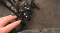 Warhammer 40k: Imperial Guard vs Necron Battle Report Part 2