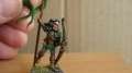 Wood Elf Battle Standard Bearer Warhammer Fantasy 