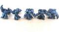 Shrike guard.... so far