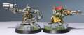 10 Gretchin & Ork Runtherd