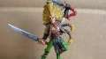 Wood Elves Wardancer Hero / Champion 