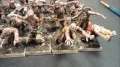Tale of Two Armies: First 30 Zombies