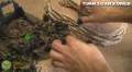 Orks vs Orks Waaagh! Batrep Battle Missions Part 5/6