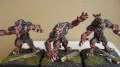 Bones Werewolves finished 