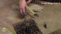 Tomb Kings vs Skaven Warhammer Fantasy Battle Report - Beat Matt Batrep - Part 3/3