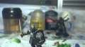 Lord of the rings painting tutorial Warrior of minas tirth