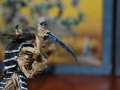 tyranid paint scheme take 2