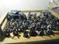 My Space Wolves so far
