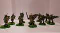 Imperial Guard Reinforcements