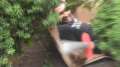 Behind the Scenes: Epic Sword Fight Bloopers and Reactions