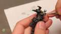 Airbrush Everything: Pt. 12 Jotun Cannon Details
