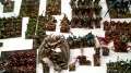 Orcs and Goblins Army Showcase