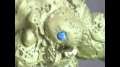 Warhammer 40k Stop Motion "Nurgle