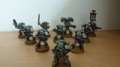 Iron Snakes Kill Team