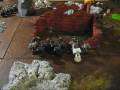 Battle Report 1250 Marines VS Marines  - PART 1