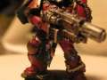 crimson tide veteran