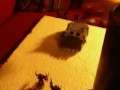 Battle Report Warhammer 40,000:CSMvCSM (P3)