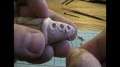 Sculpt the Purple Tentacle