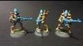 Eldar Guardians, unit 2