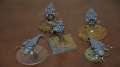 Converted Wraiths / Acanthrites.
