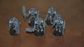 necron lychguard / preatorians